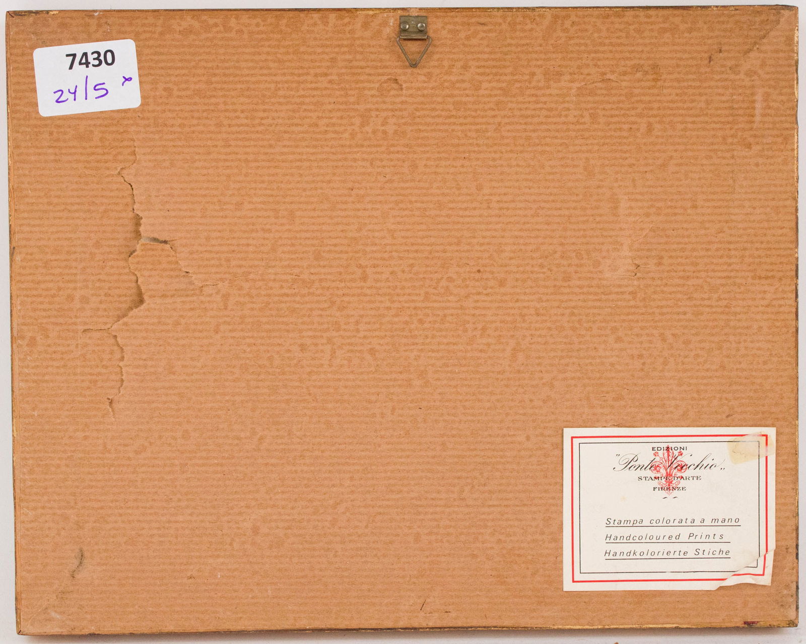 Five Botanical, Hand-Colored Engravings - 14