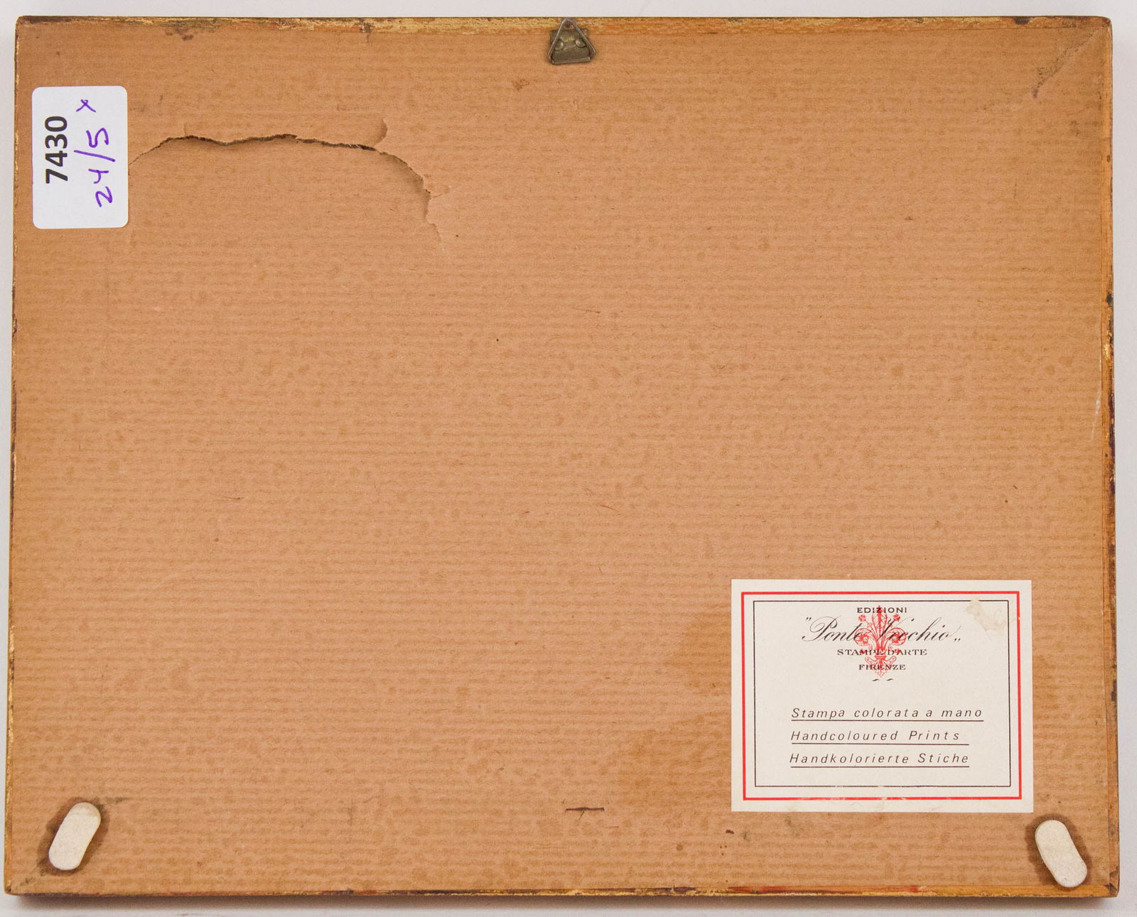 Five Botanical, Hand-Colored Engravings - 17