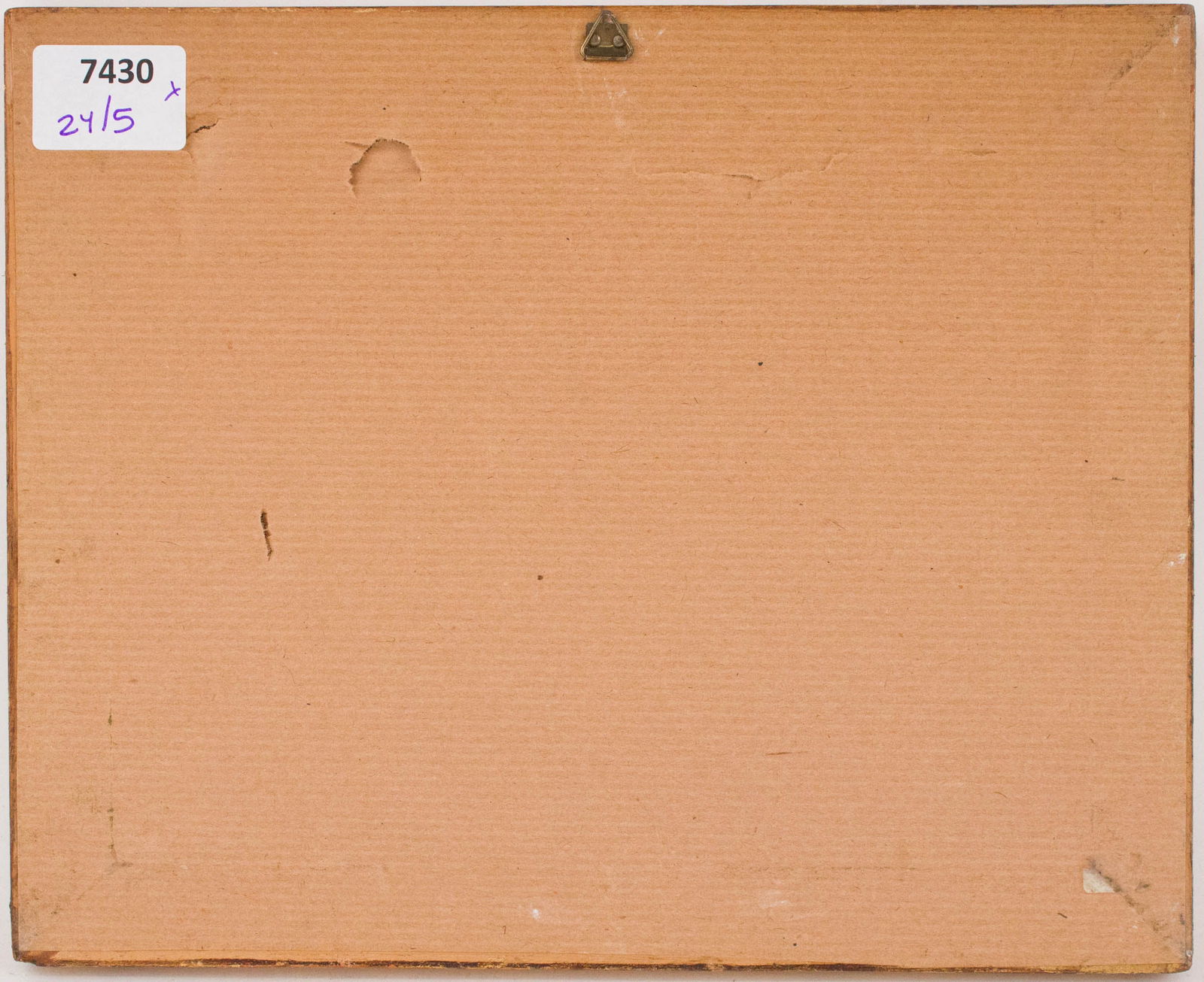 Five Botanical, Hand-Colored Engravings - 20