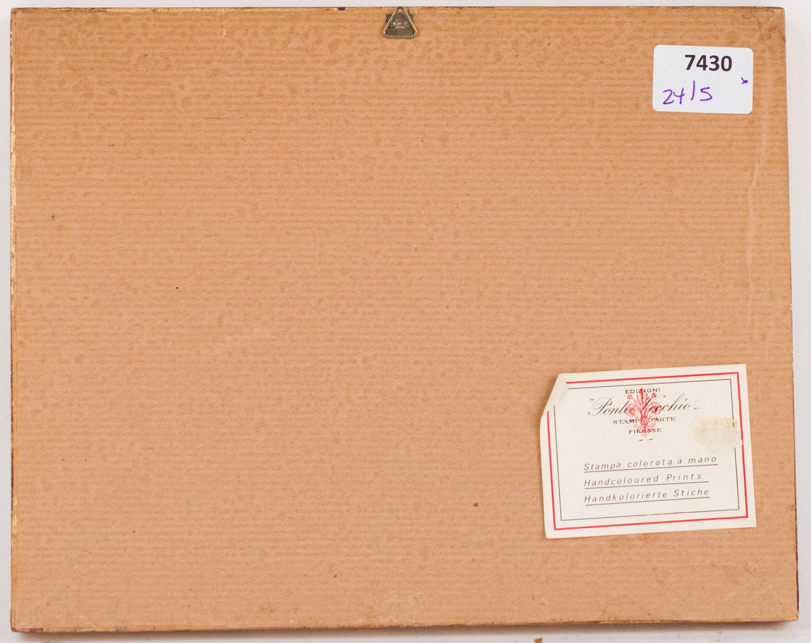 Five Botanical, Hand-Colored Engravings - 8