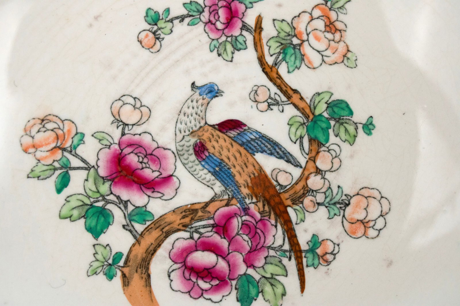 Partial Whieldon Ware Pheasant Pattern Dinner Service - 4