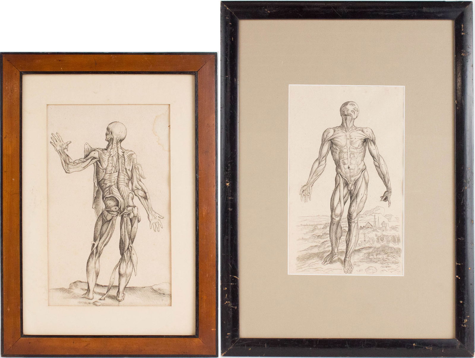 After Andreas Vesalius, 1514-1564, De Humani Corporis Fabrica, Charcoal on Paper: After Andreas Vesalius 1514-1564 De Humani Corporis Fabrica Charcoal on Paper Copies after the original prints from "On the Fabric of the Human Body". Water stain. Largest Sight: 11 1/2 x 7 in.