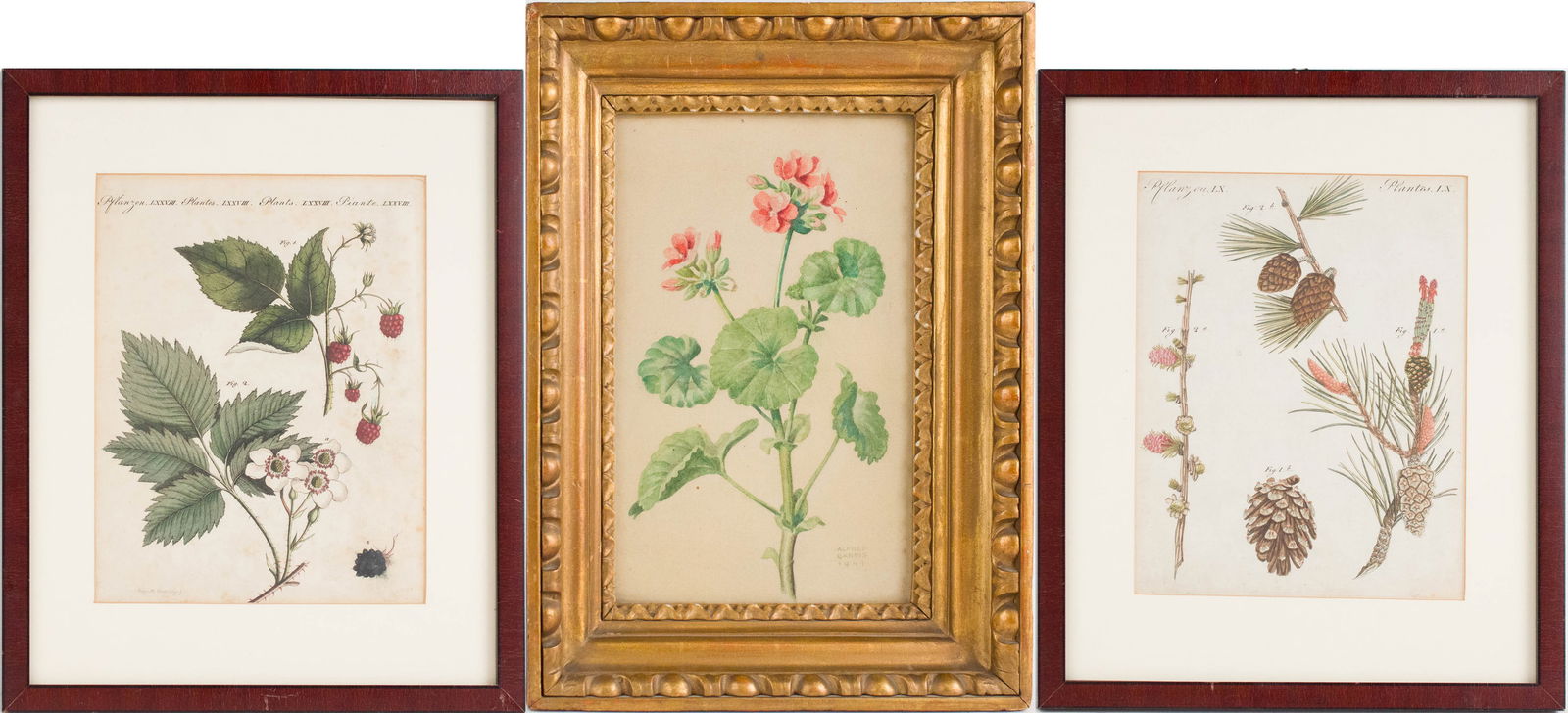 Alfred Bareis, 1899-1969, Geraniums, Watercolor (1 of 12)