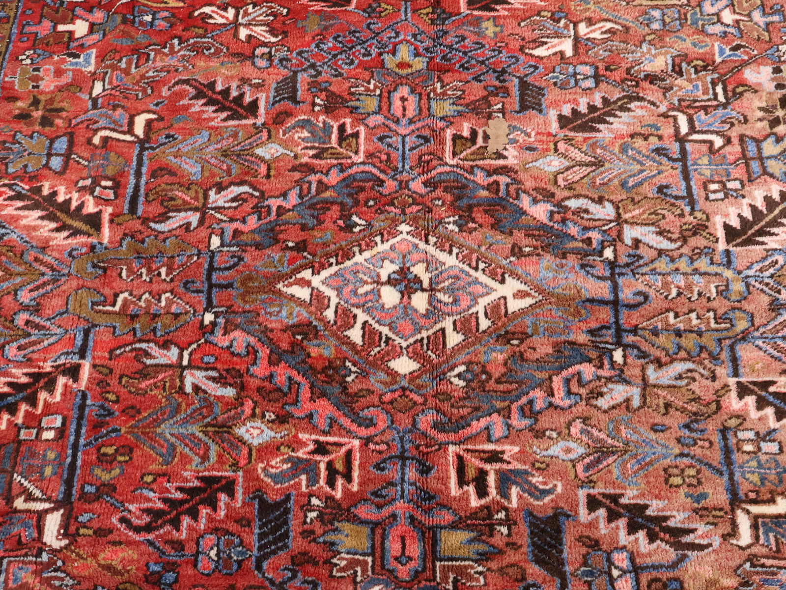 Heriz Carpet - 9