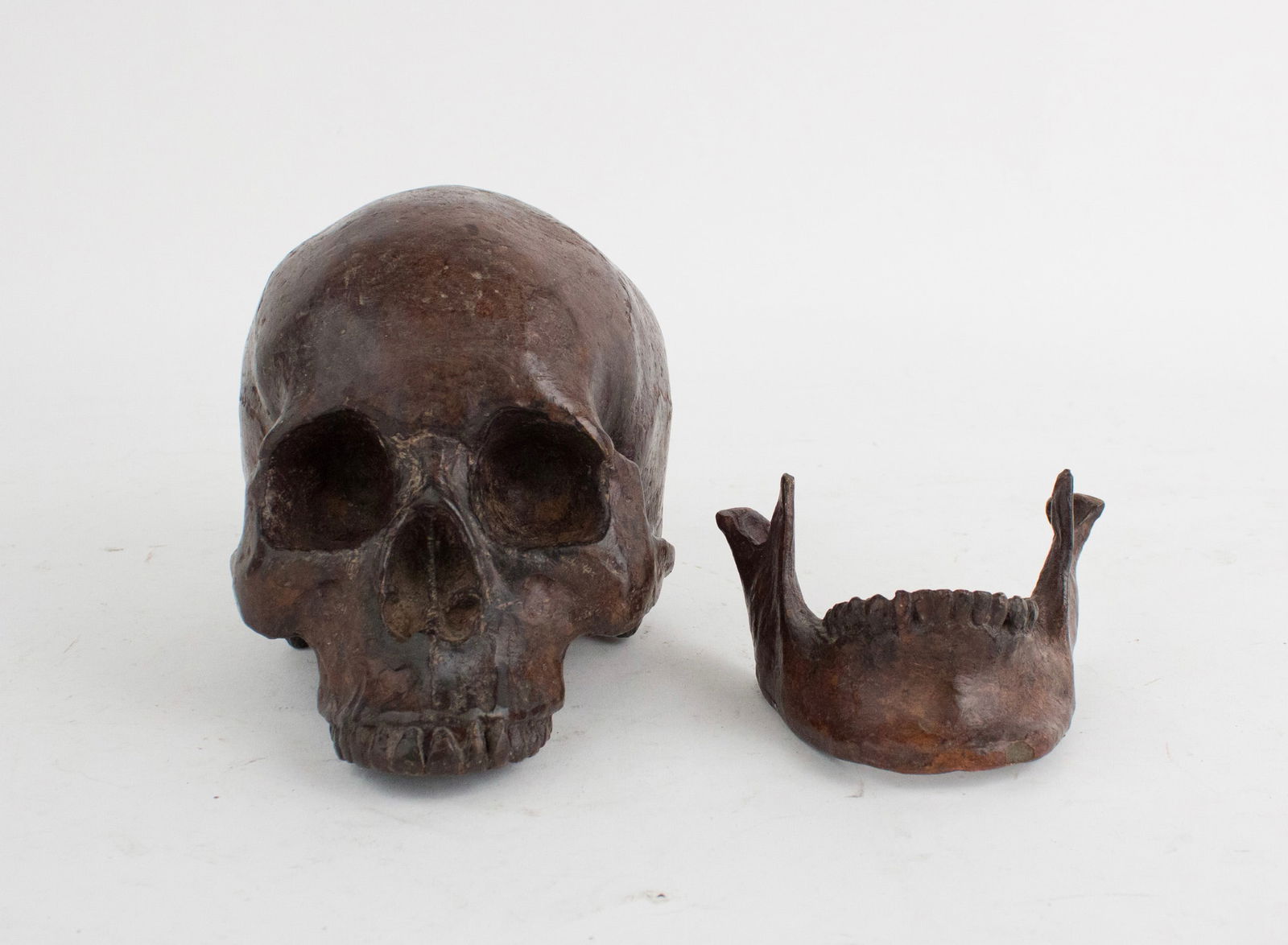 Human Skull, Bronze Casting - 5