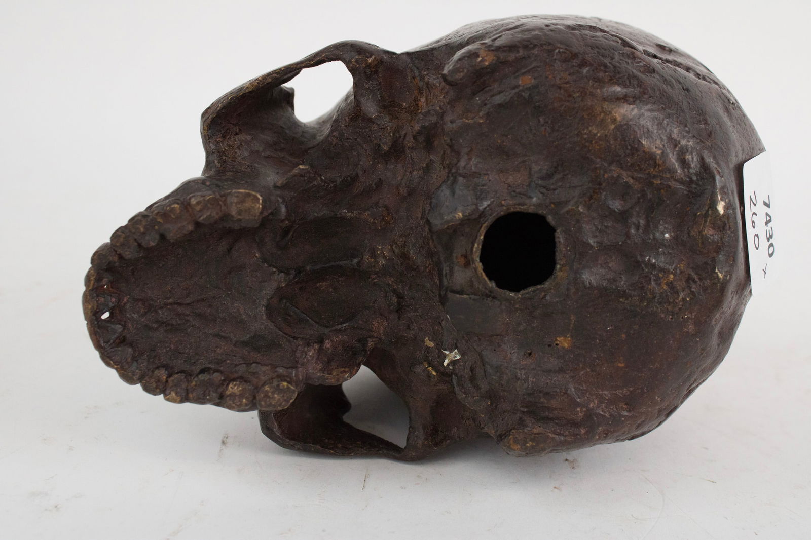 Human Skull, Bronze Casting - 6