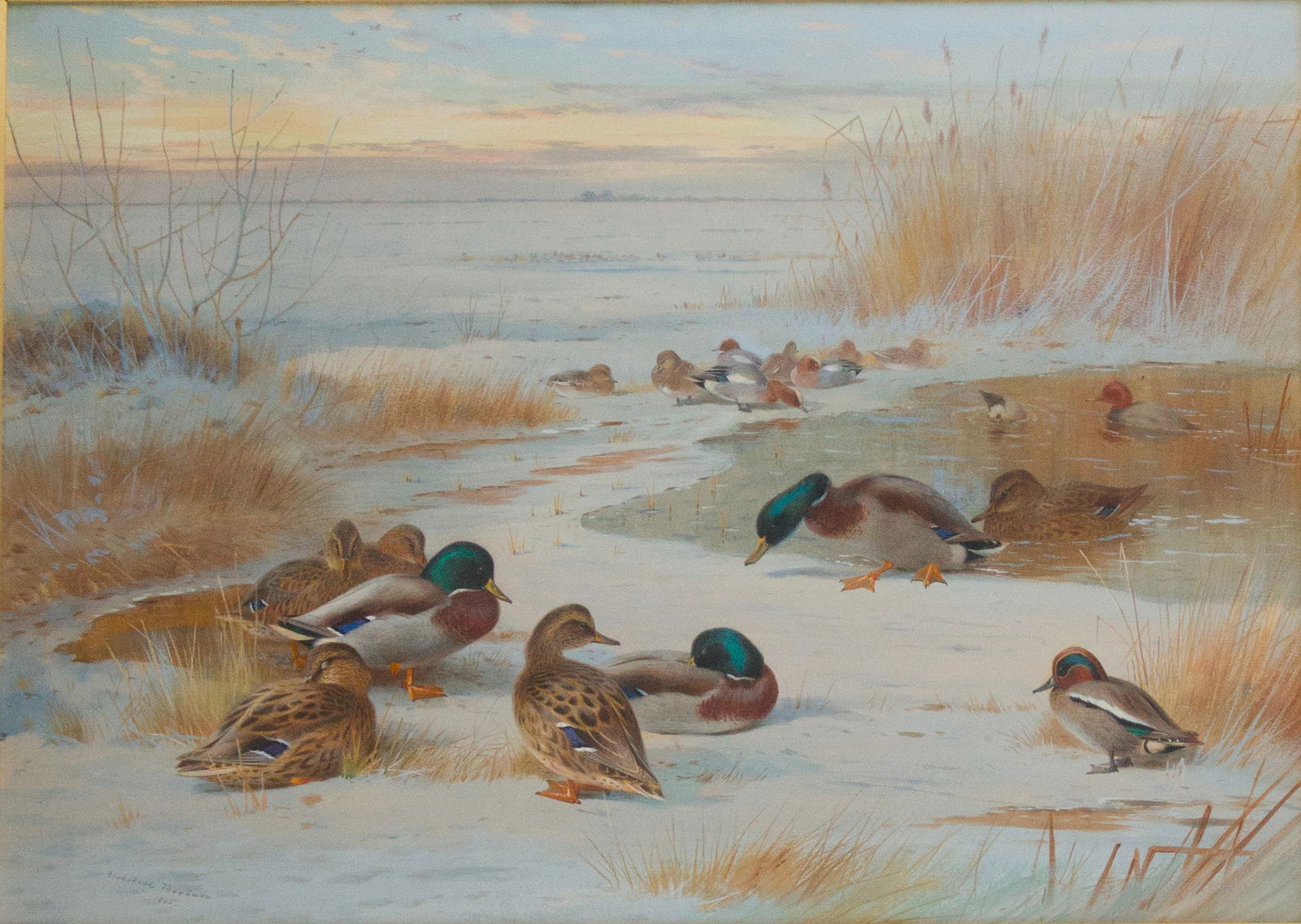 Archibald Thornburn, Scottish 1860-1935, Marsh Scene with Waterfowl, Watercolor: Archibald ThornburnScottish, 1860-1935Marsh Scene with WaterfowlWatercolorSigned l.l. and dated "Archibald Thornton/1905".Sight: 21 x 29 in. (53.3 x 73.7 cm.), Frame: 32 x 41 in. (81.3 x 104.1 cm.)