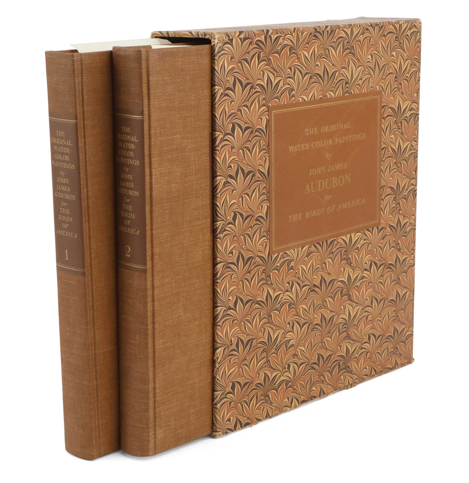 The Original Water-Color Paintings By John James Audubon for Birds of America (1 of 20)