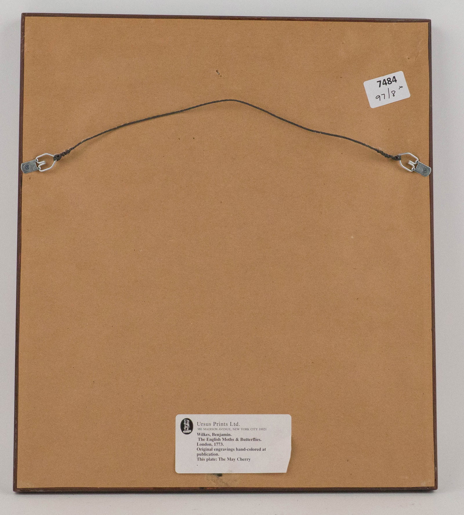 Eight Botanical, Engravings - 15