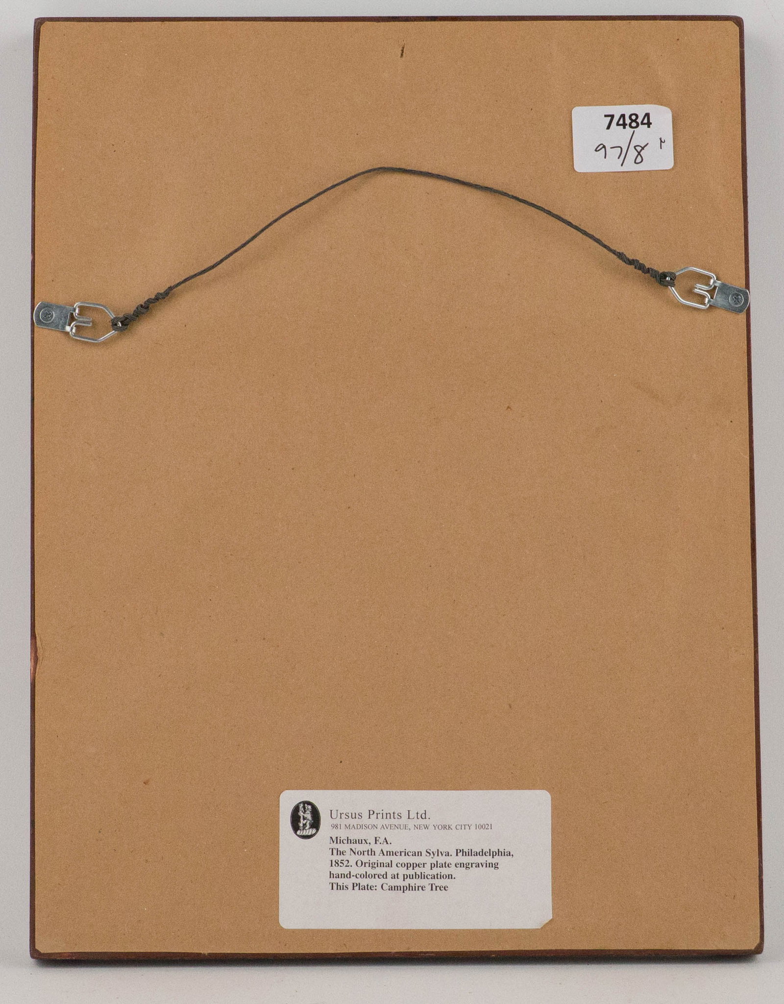 Eight Botanical, Engravings - 3