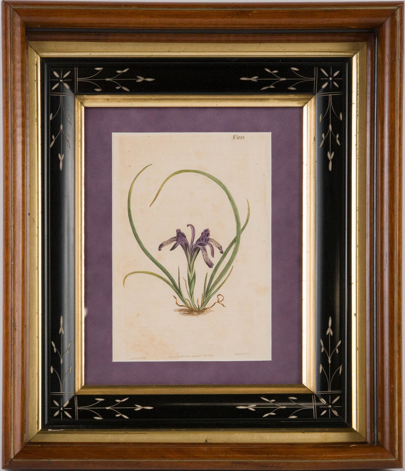Four Botanical, Hand-Colored Engravings - 6