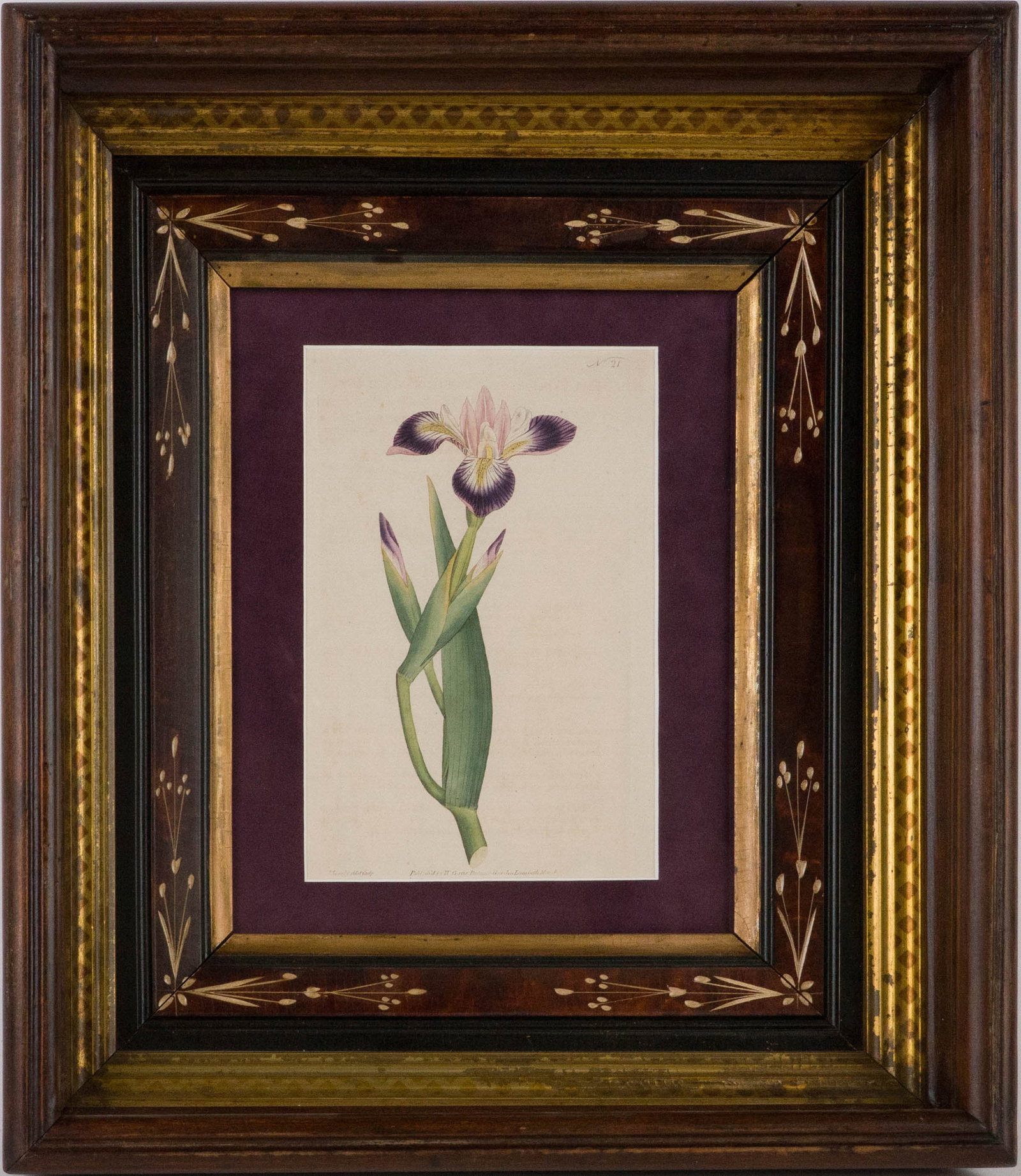Four Botanical, Hand-Colored Engravings - 9