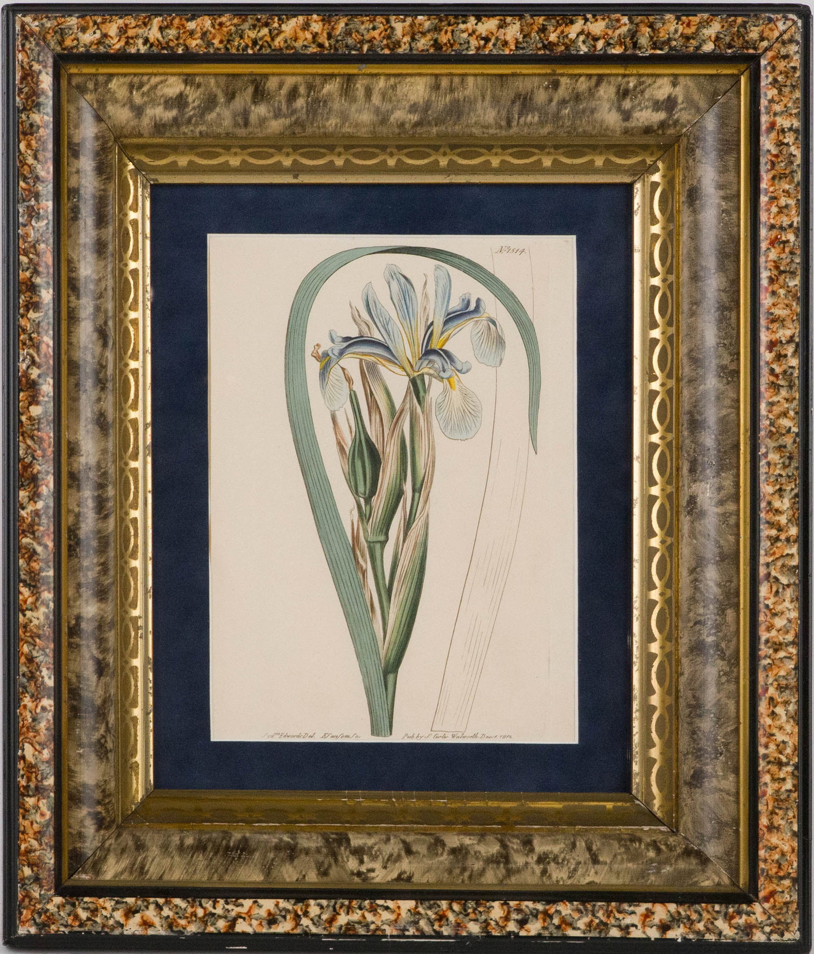 Four Botanical, Hand-Colored Engravings - 3