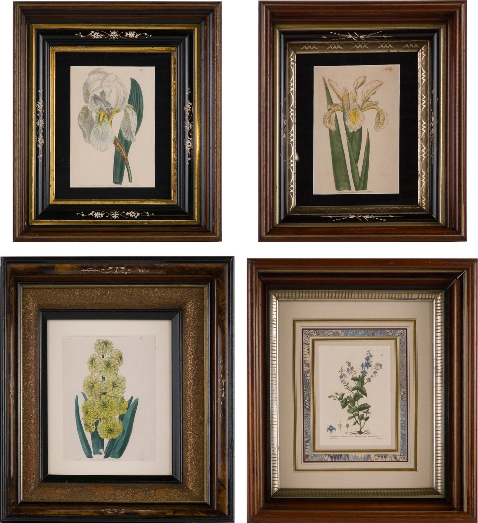 Four Botanical, Hand-Colored Engravings (1 of 13)
