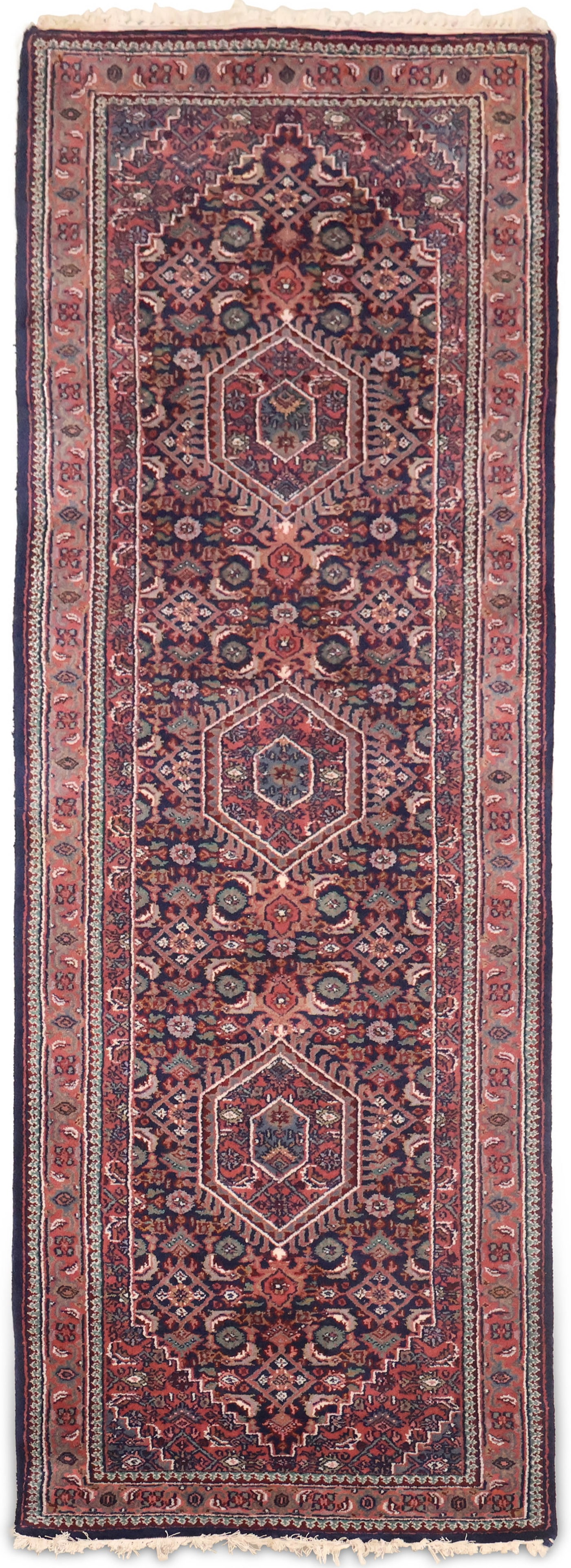 Indo-Bidjar Runner (1 of 12)