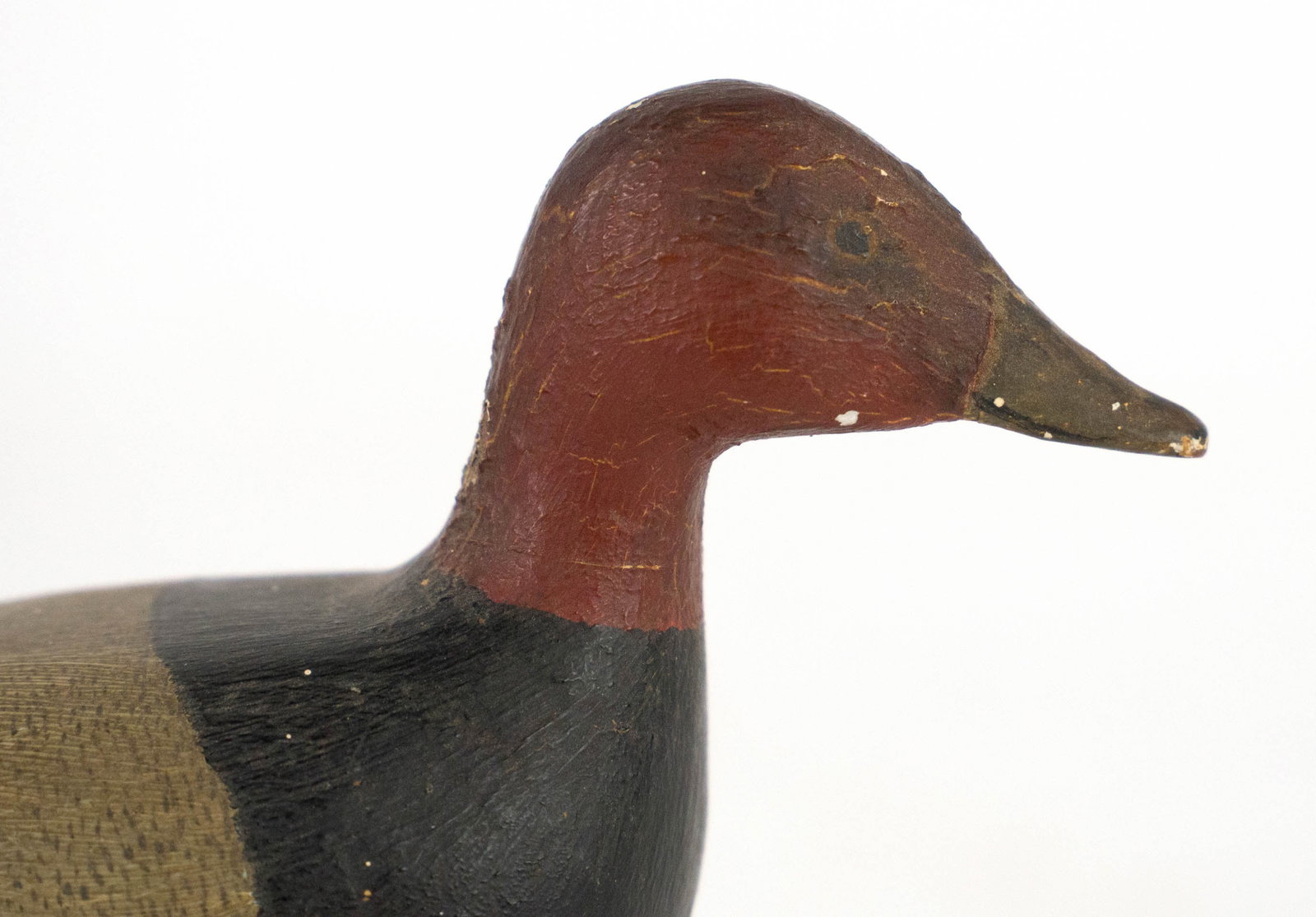Miniature Canvasback by A.J. Ditman - 2