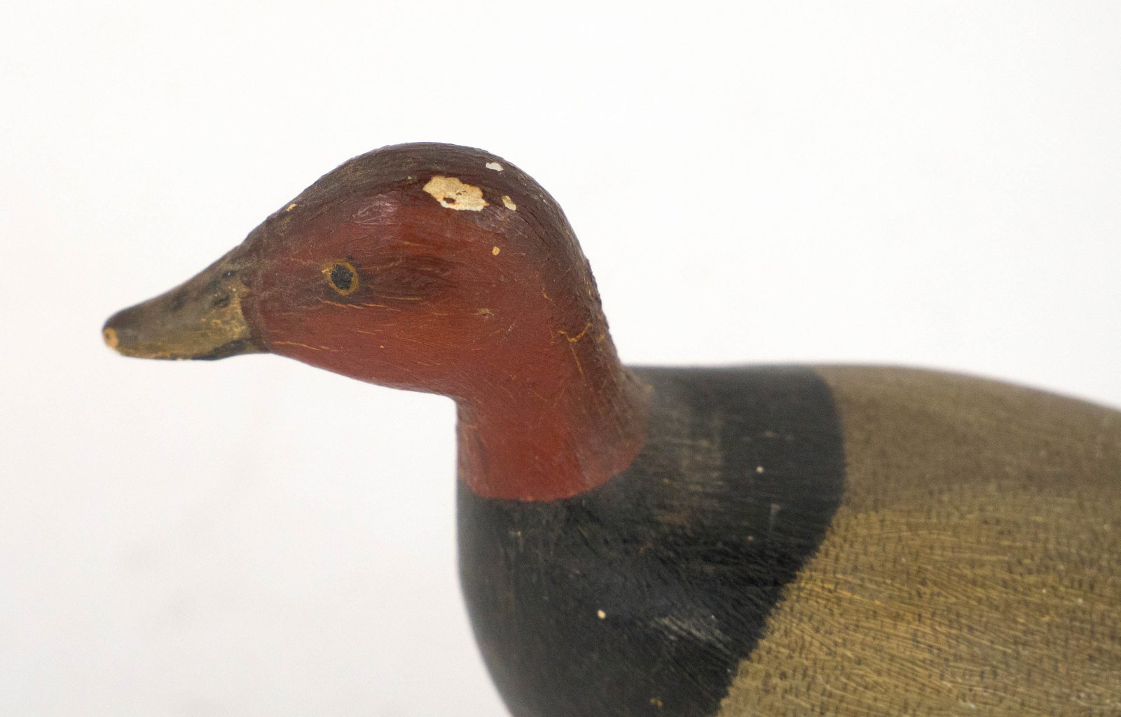 Miniature Canvasback by A.J. Ditman - 7