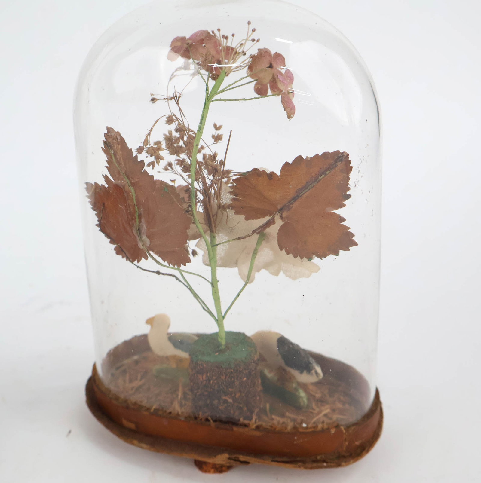 Victorian Parlor Dome - 7
