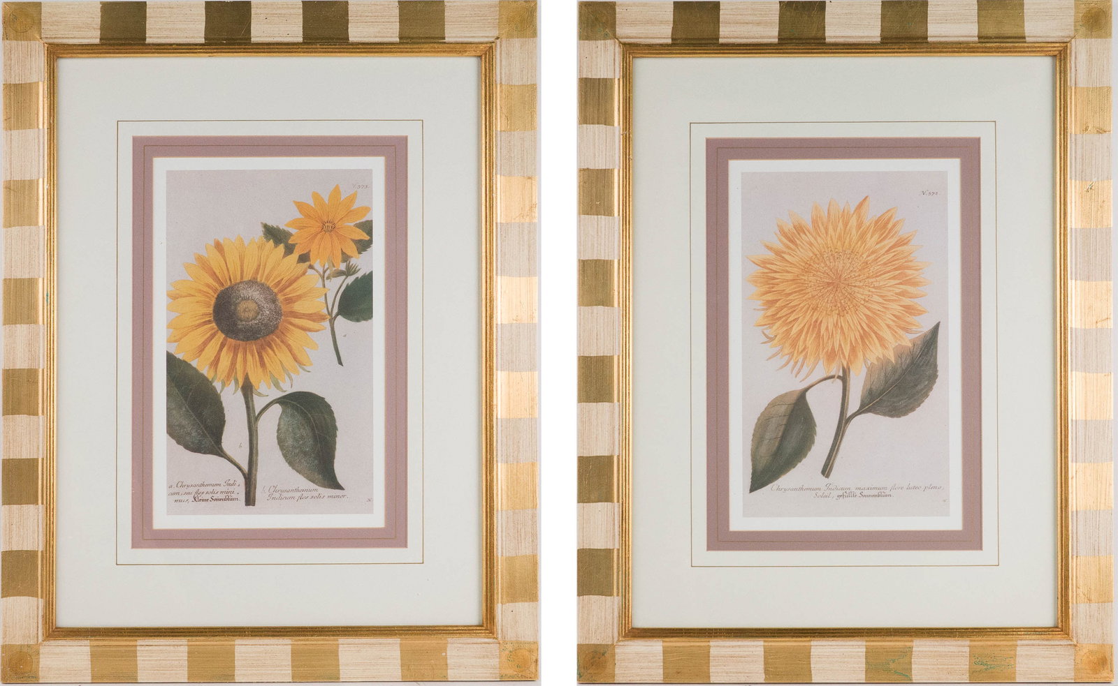Two Chrysanthemum, Prints: Two Chrysanthemum Prints Both labeled Julia Gray verso, one after Johann W. Weinmann. Sight: 15 1/4 x 9 1/2 in. (38.7 x 24.1 cm.), Frame: 28 x 22 in. (71.1 x 55.9 cm.)