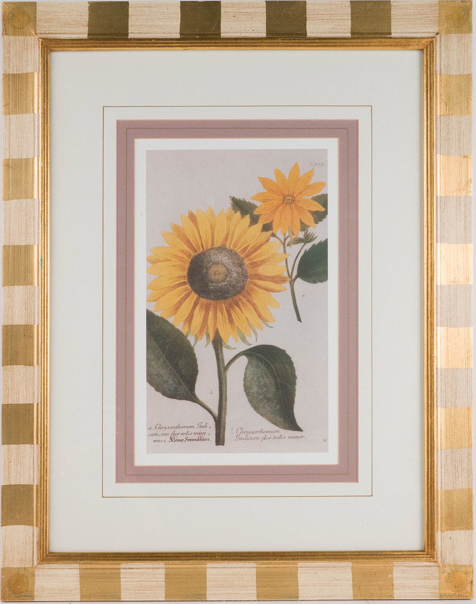 Two Chrysanthemum, Prints - 3