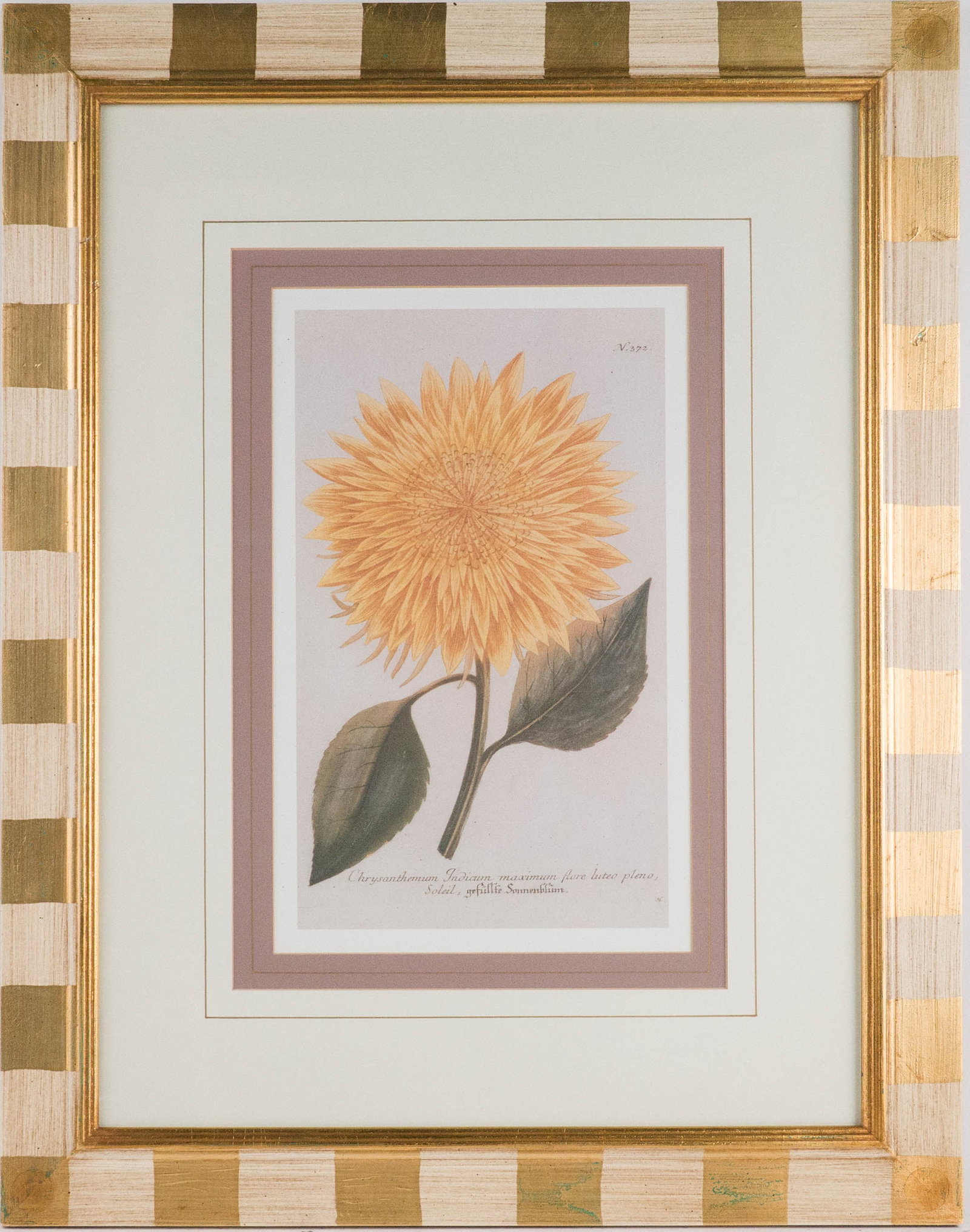 Two Chrysanthemum, Prints - 8