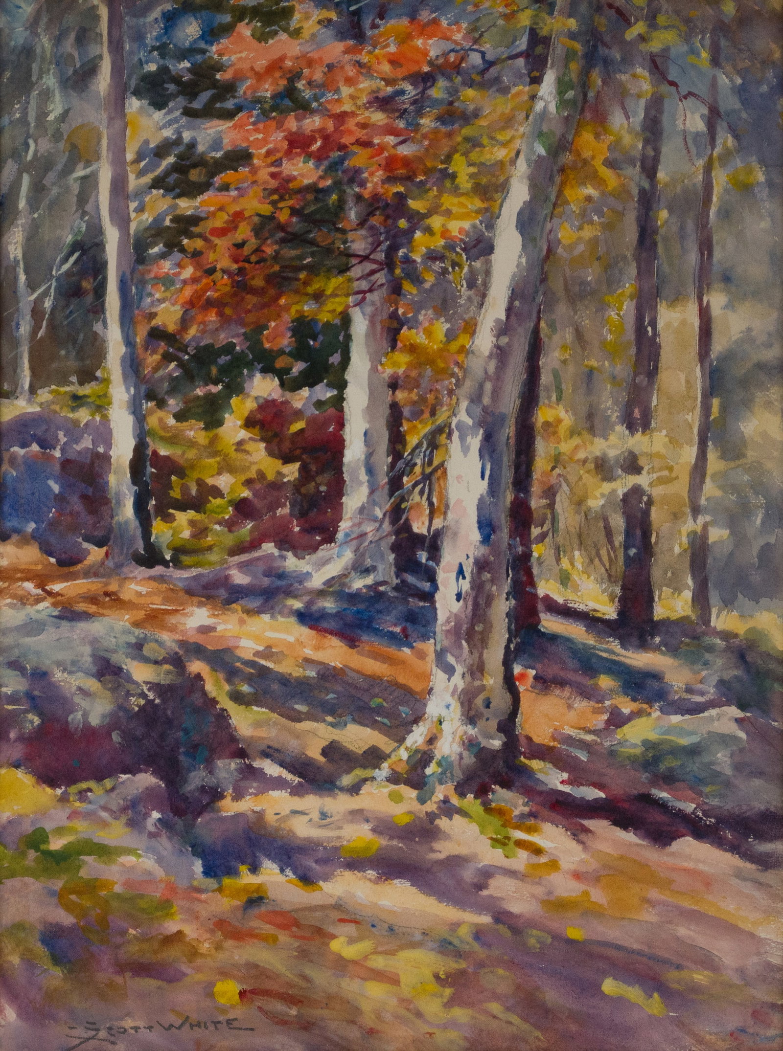 Clarence Scott White, 1872-1965, Birches and Maples, Watercolor (1 of 6)