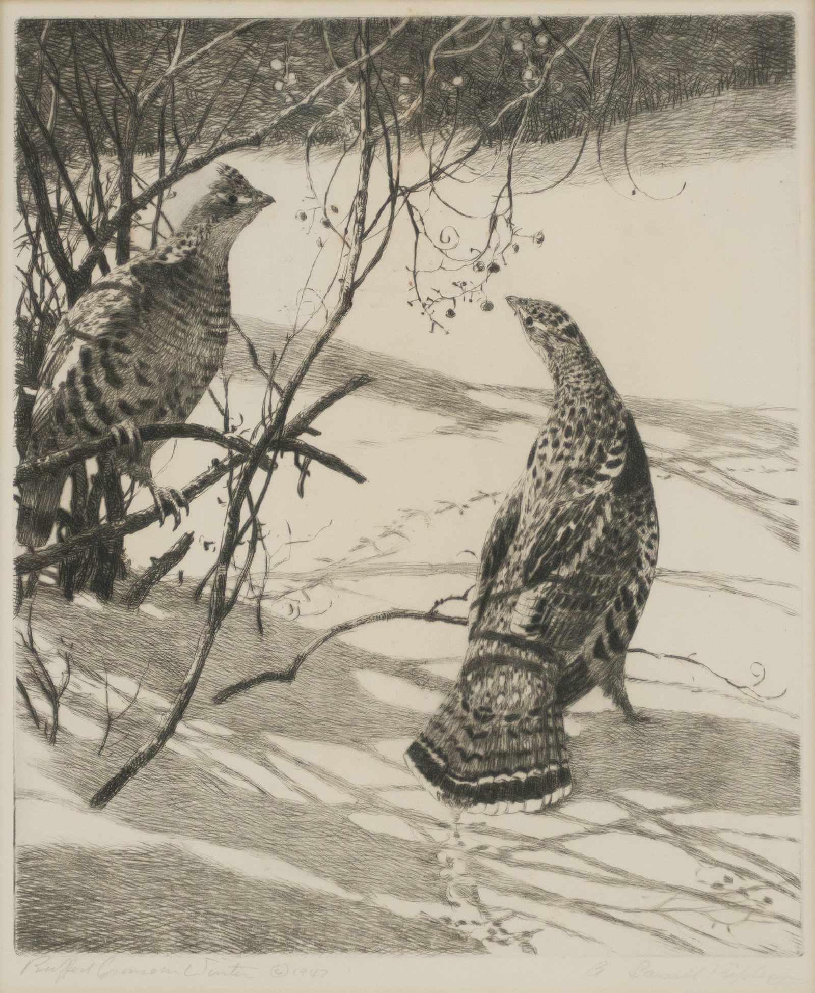 Aiden Lassell Ripley, 1896-1969, Ruffled Grouse in Winter, Drypoint (1 of 8)