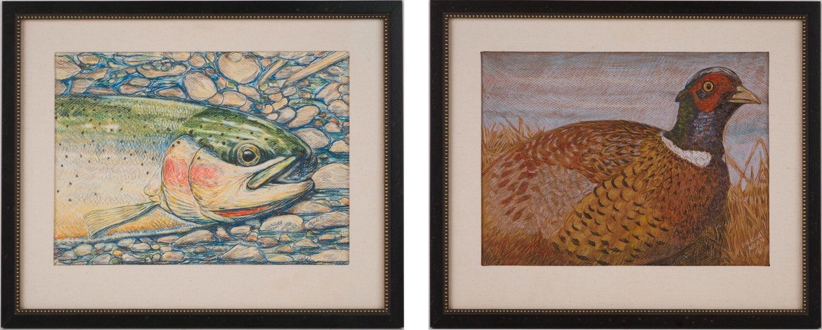 M Cook, Pheasant and Trout, Mixed Media on Paper: M Cook Pheasant and Trout Mixed Media on Paper One of a Cutthroat Trout on Rocks and one of a Pheasant, both signed l.r. Colored pencil and pastel. Sight: 8 3/4 x 11 1/2 in. (22.2 x 29.2 cm.), Frame: 