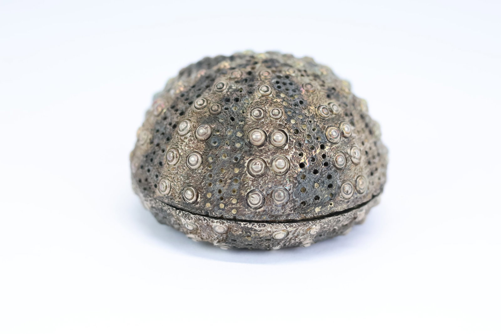 Janna Thomas Sterling Silver Figural Sea Anemone Tea Ball: Janna Thomas Sterling Silver Figural Sea Anemone Tea Ball Janna Thomas Sterling Silver Figural Sea Anemone Tea Ball, Marked inside of lid. Wear, worn. 1 1/8"h x 1 3/4"dia.