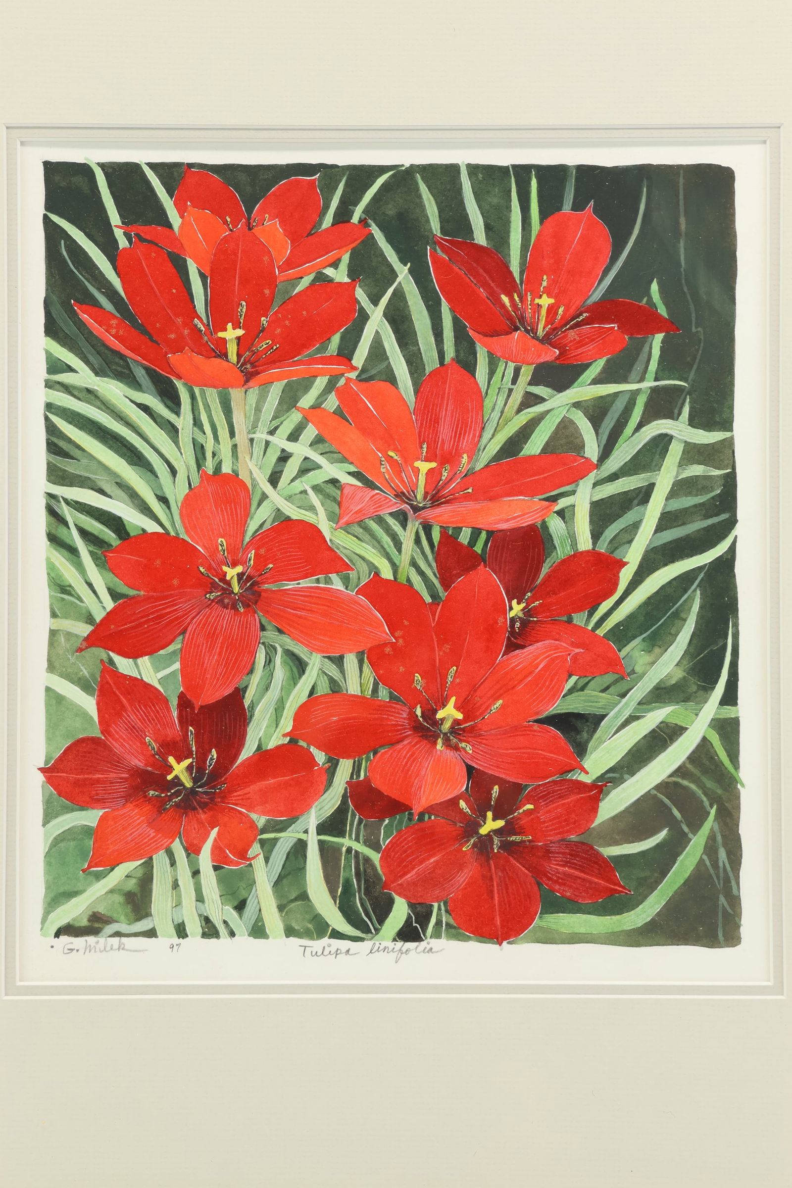 Gary Milek Red Tulips Colored Lithograph (1 of 6)