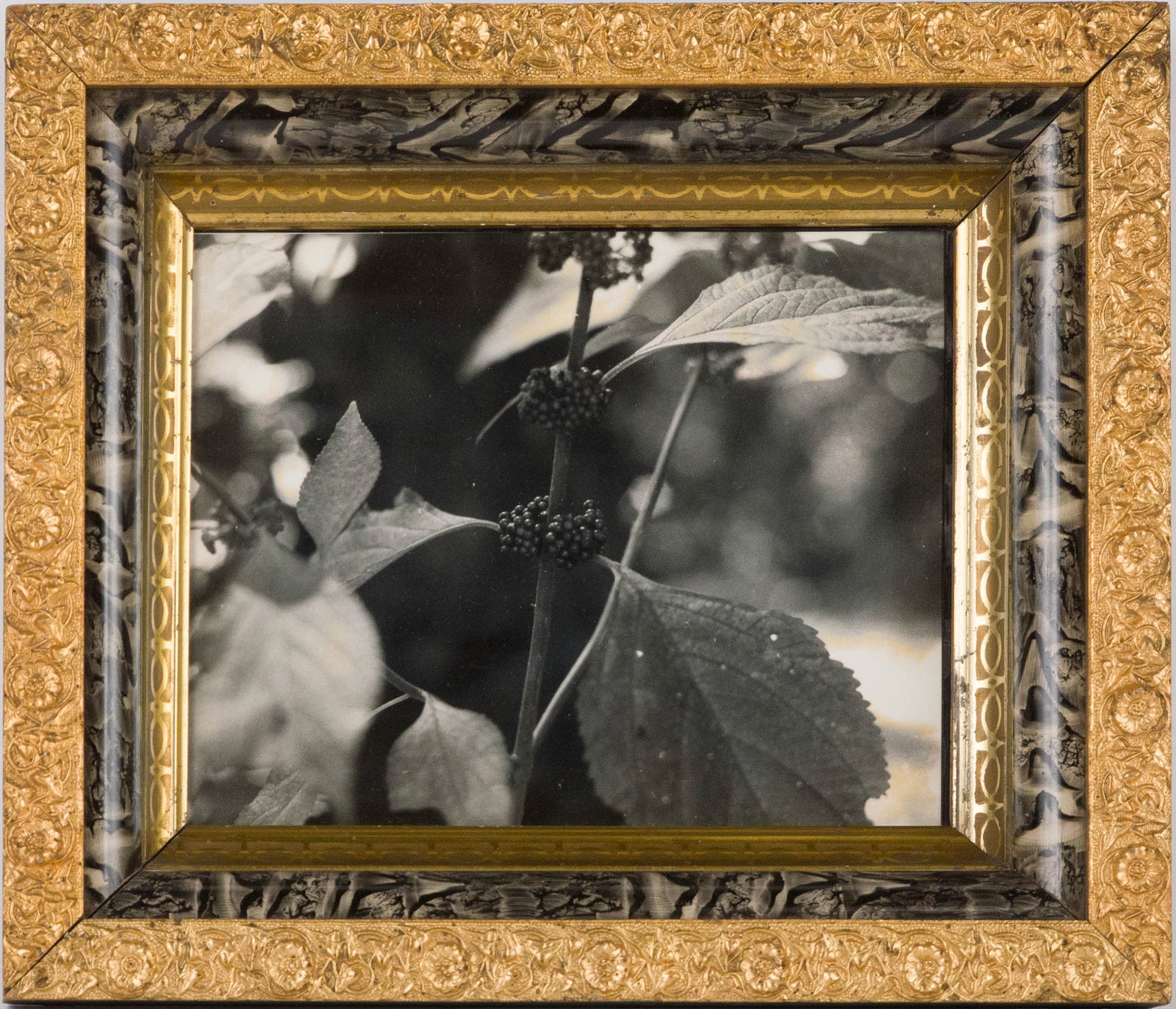 Three Flower, Photographs - 3