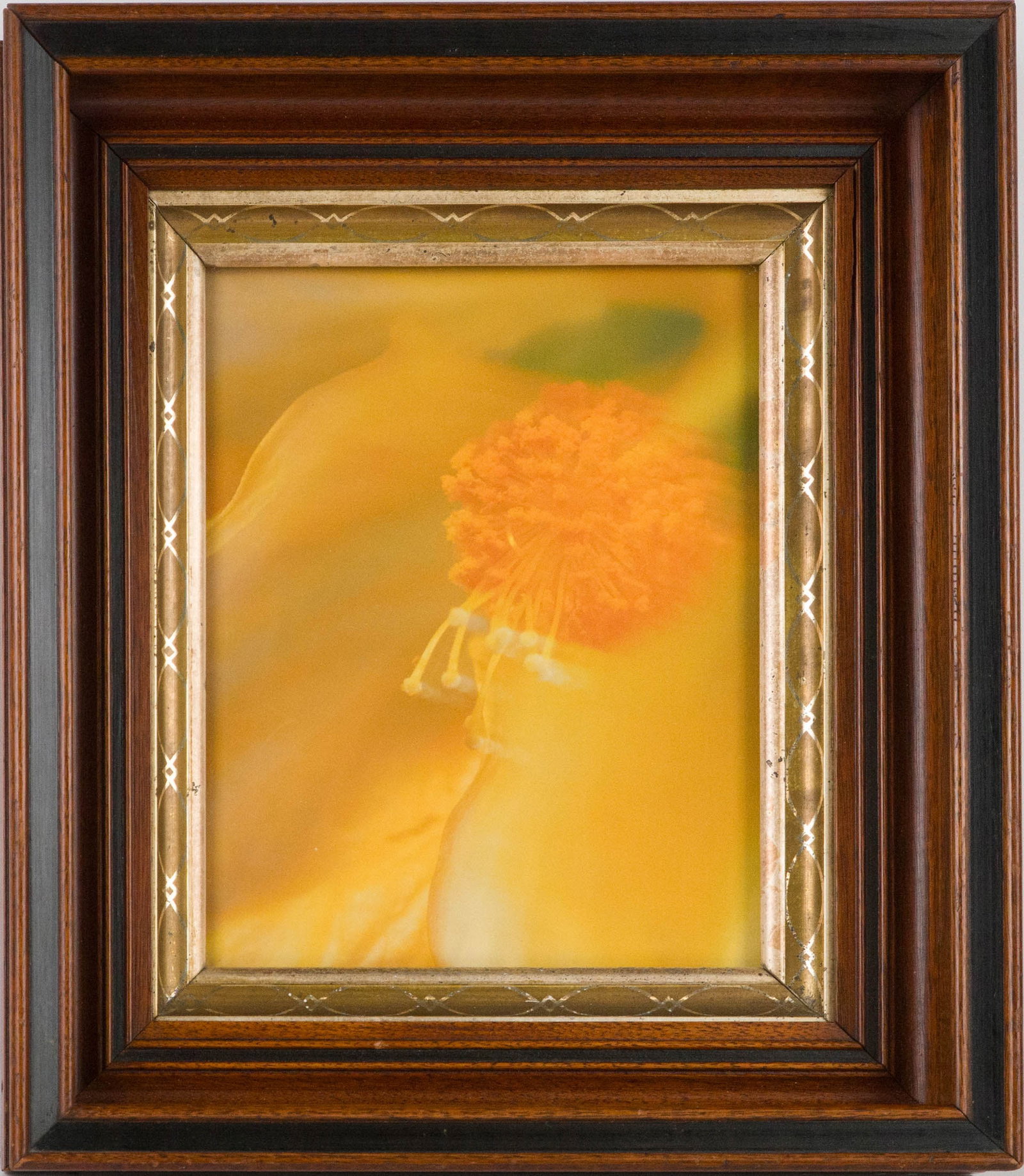 Three Flower, Photographs - 5