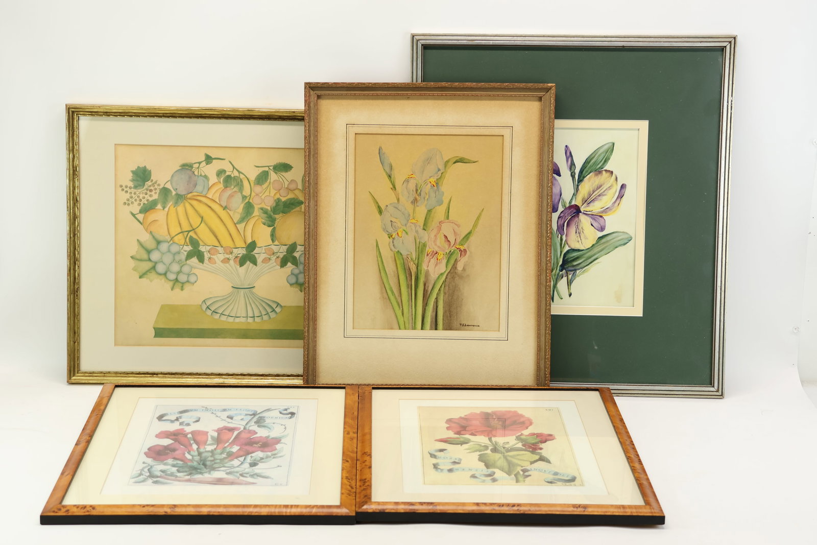 Group of Five Vintage Botanical Artworks (1 of 14)