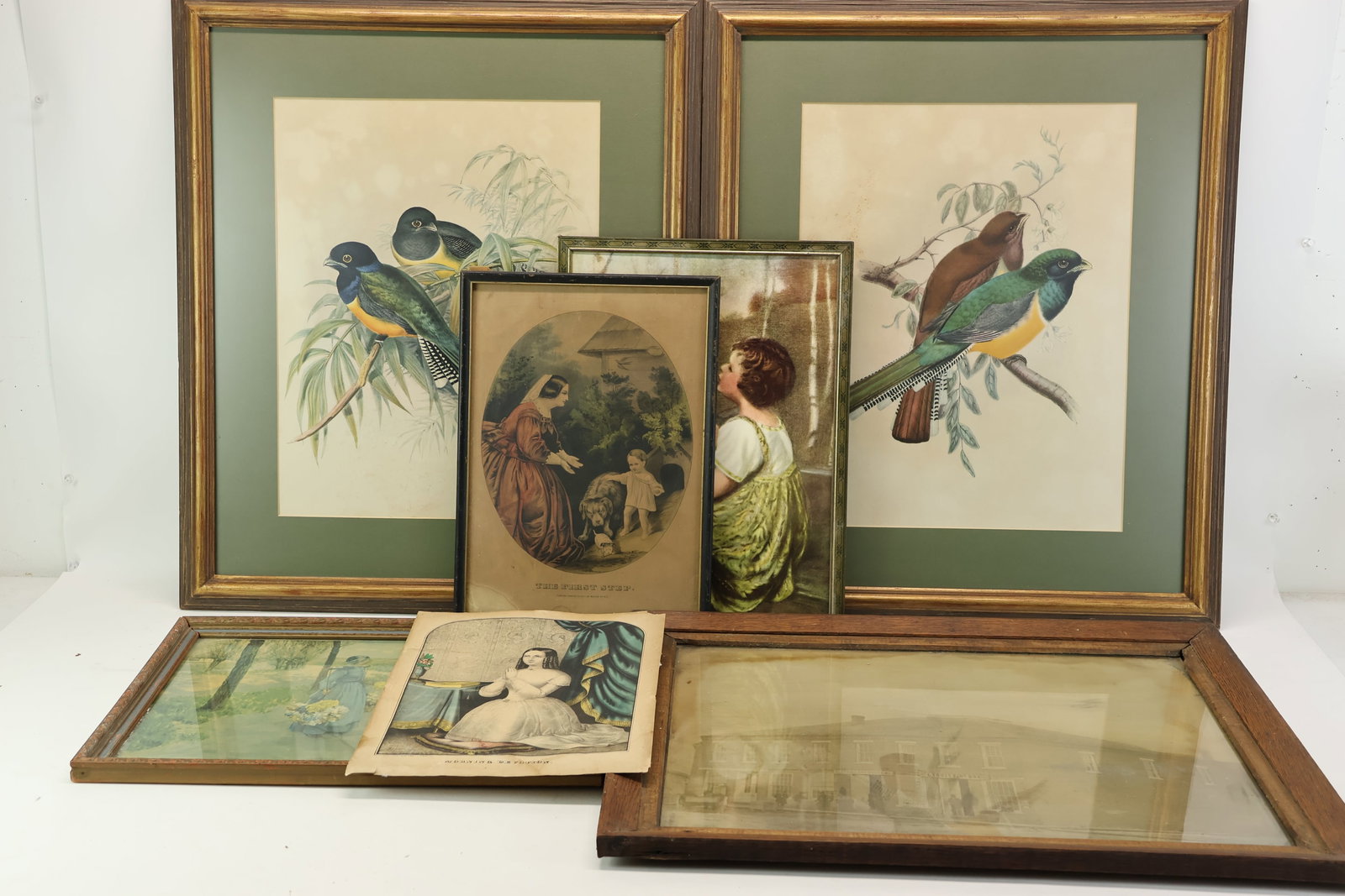 Pair of Vintage Ornithological Bird Prints (1 of 14)