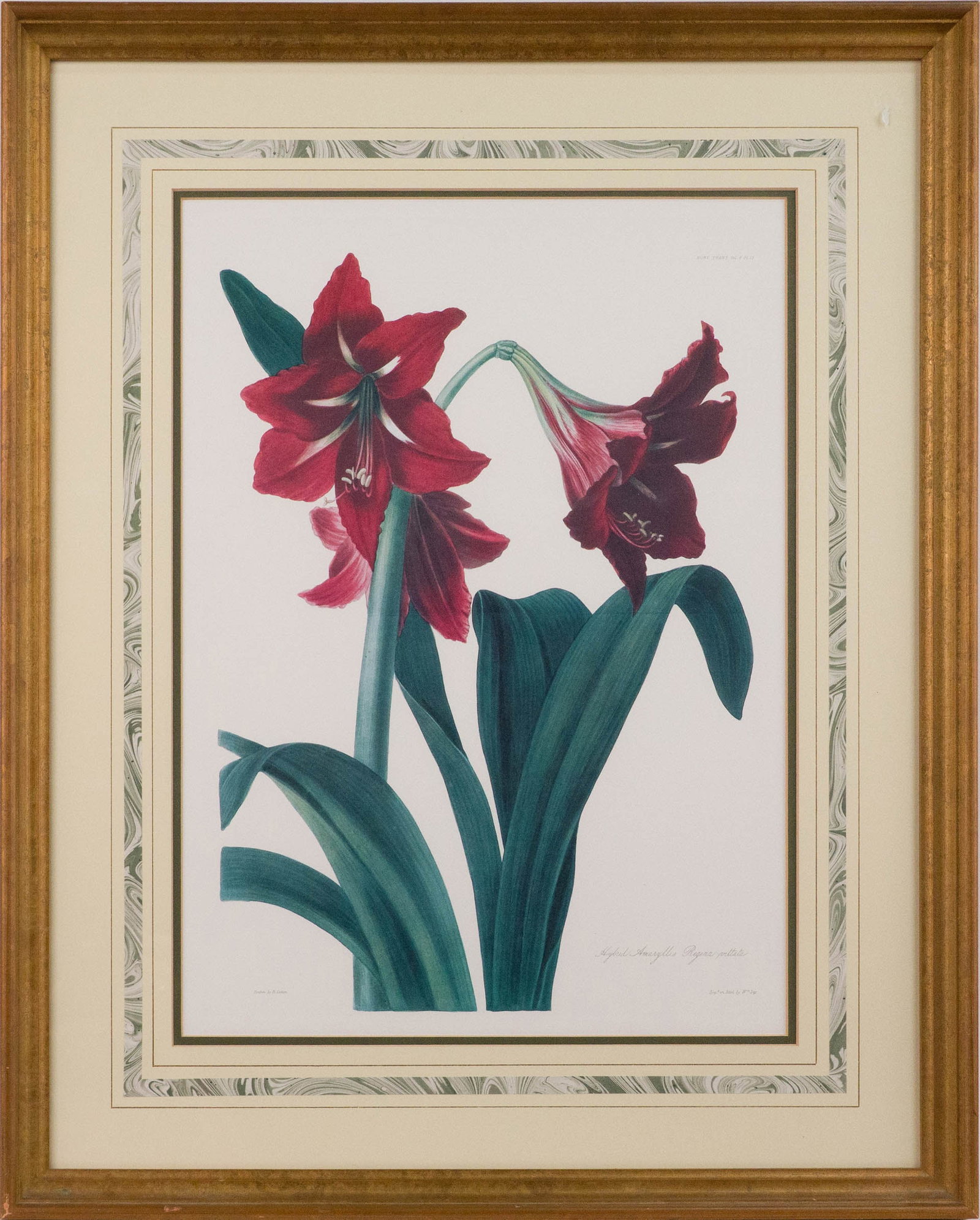 Three Botanical Depictions, Prints - 3