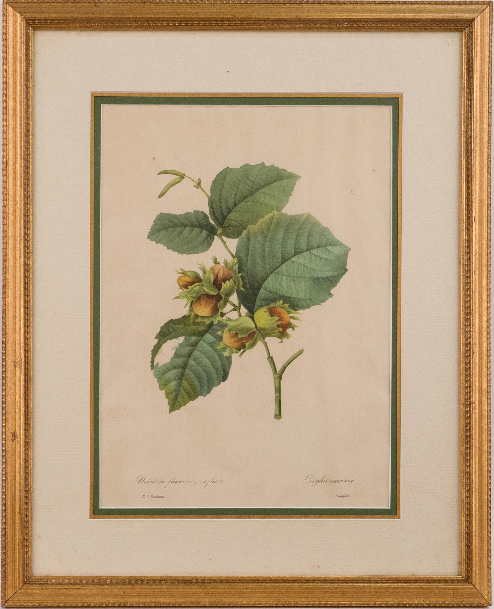 Three Botanical Depictions, Prints - 7