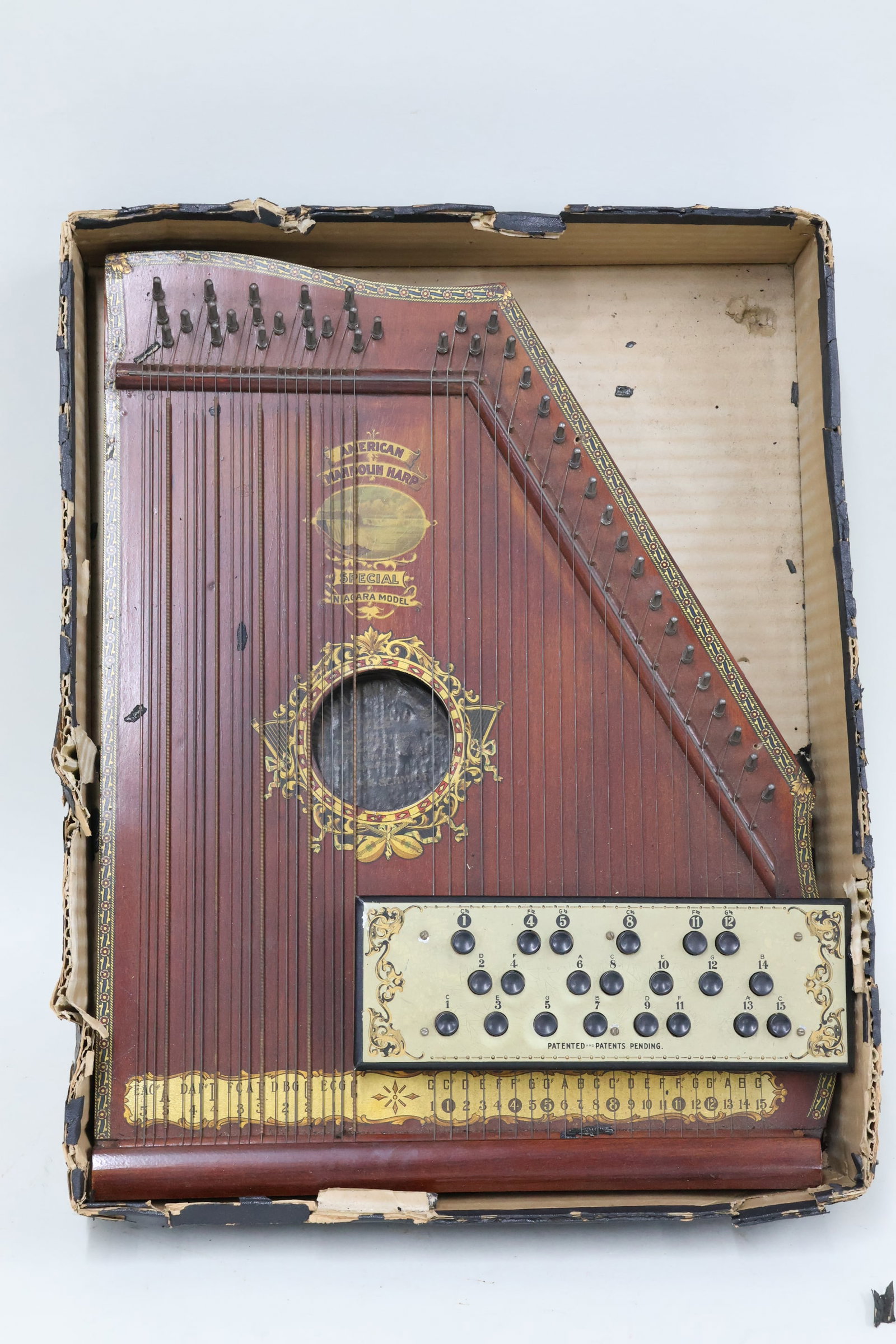 Vintage American Mandolin Harp Special Niagara Model (1 of 8)