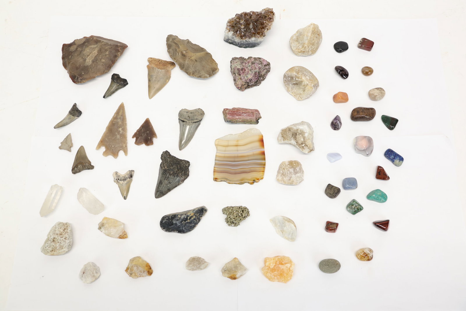 Group of Fossilized Shark Teeth and Neolithic Tools and Arrowheads (1 of 13)