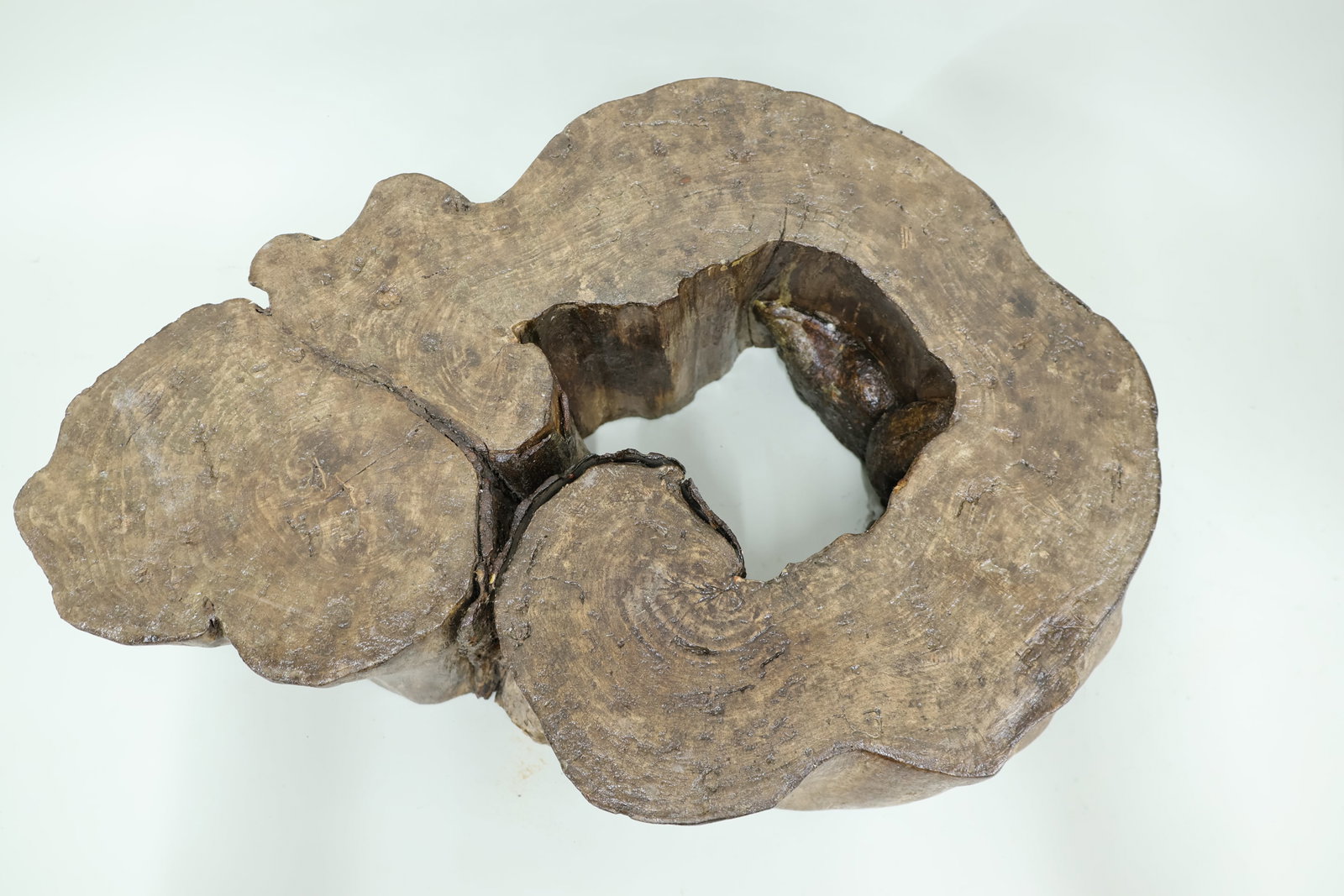 Tree Trunk Sculpture - 5