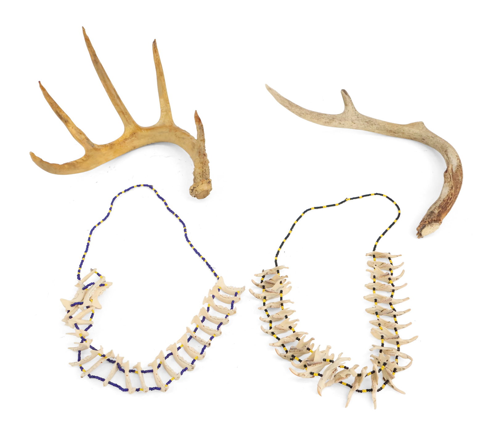 Two Naturally Shed Deer Antlers: Two Naturally Shed Deer Antlers Together with a mammal jawbone necklace, strung with glass seed beads. 3 pieces Largest Antler: 6 1/4 x 10 1/2 x 9 1/2 in. (15.9 x 26.7 x 24.1 cm.)