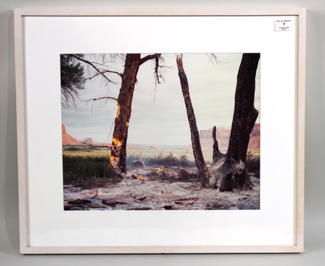 Cibachrome Print, James Baker (1 of 7)