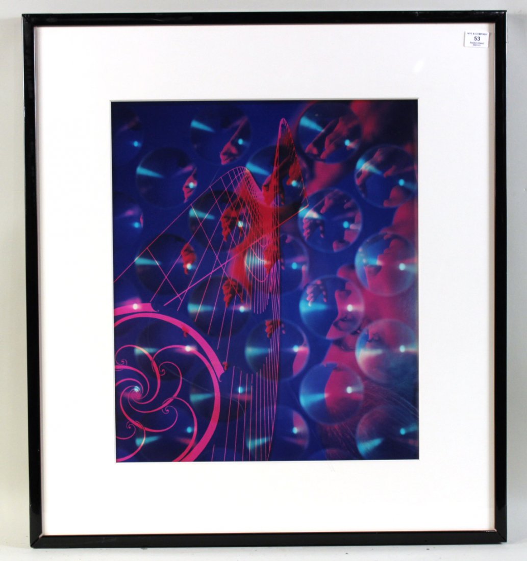 Polaroid Print, Ellen Carey (1 of 8)