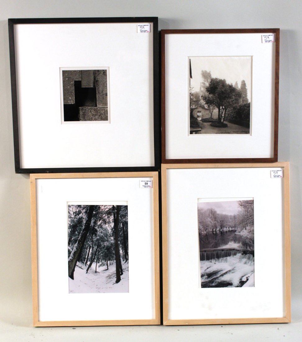 Four Black and White Photographs: Comprising, a gelatin silver print by John Hall, two photographs by Steve Waters, titled "McMichaels Creek," and "Glen Park," and a palladium print titled "Tree Conservatory, Florence," by Regina Delu