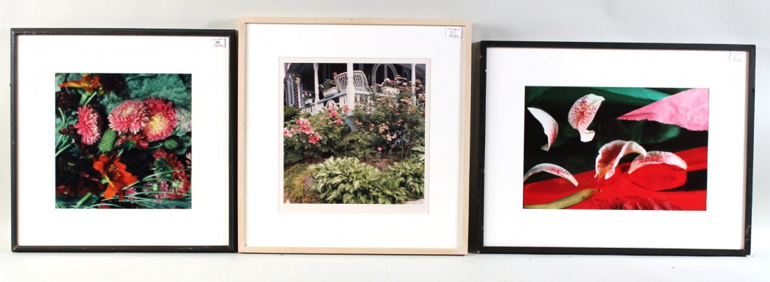 Three Color Photographs of Flowers (1 of 10)