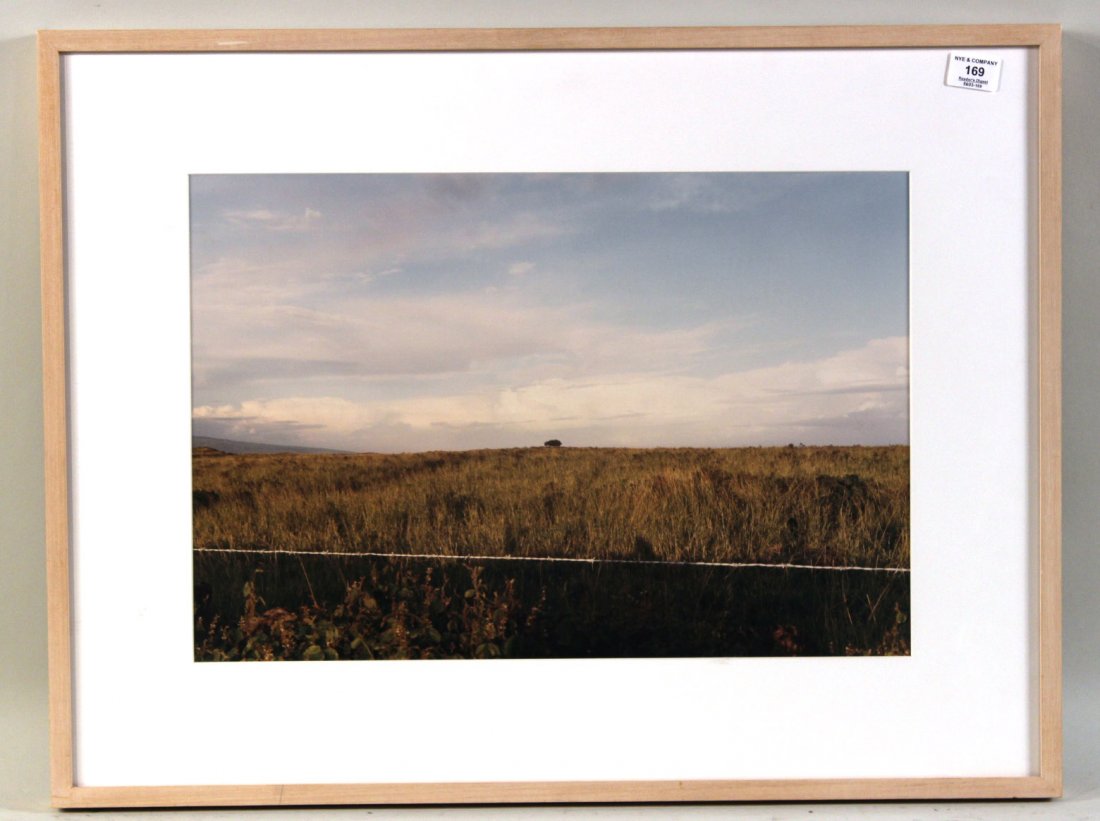 Color Coupler Print, Elaine Mayes (1 of 6)