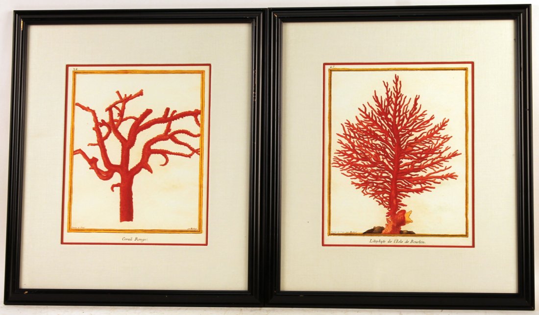 Two Giclee Coral Prints (1 of 8)