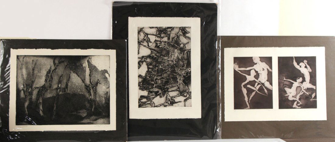 Three Etchings by Linda Cunningham (1 of 10)