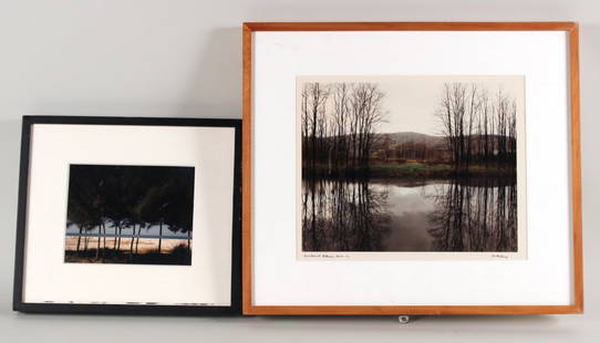 Etkacolor, "Australian Pines," John Pfahl: (American, b. 1939). Together with a photograph, "East Branch, Delaware River," by Joe Maloney. RDA#70172 and 70401. Bin#37. Sight size: 7-1/4"h x 9-1/4"w and 13-1/2"h x 16-3/4"w