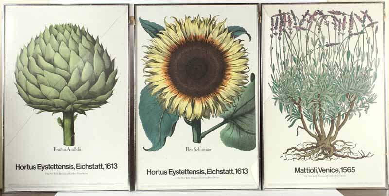 Three New York Botanical Posters, Copyright 1971 (1 of 8)