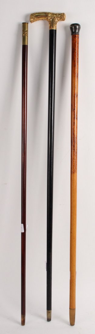 Three Walking Sticks (1 of 9)